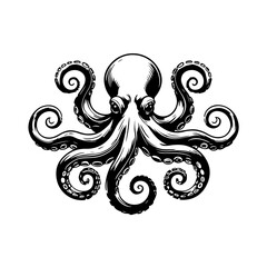 Octopus sea animal black and white illustration