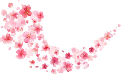 Delicate light pink sakura flowers flow. Wind swirls © Quarta