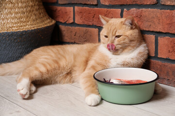 Cat with bowl full of raw natural products indoors. Pet's balanced diet