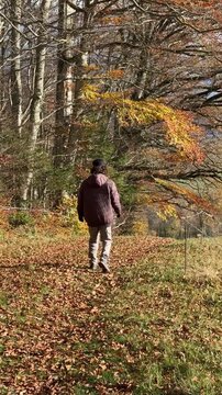Marcher dans les feuilles mortes