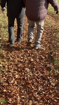 Marcher dans les feuilles mortes