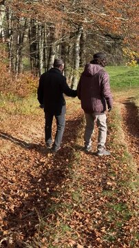 Marcher dans les feuilles mortes