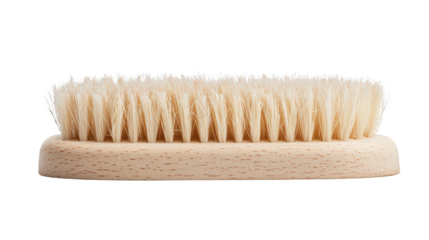 A wooden-handled brush with dense, light-colored bristles standing upright.