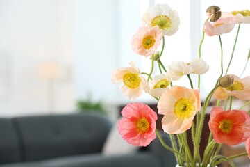 Beautiful poppy flowers in vase indoors, closeup. Space for text