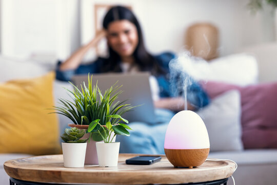 Essential oil aroma diffuser humidifier the air while woman working with laptop sitting on coach.