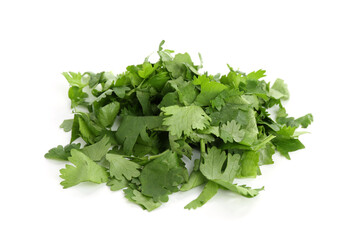 Leaves of fresh cilantro isolated on white