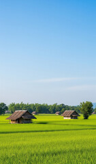 Thatched-roof huts in the middle of vibrant rice fields at sunrise.