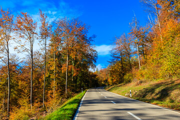 Fototapeta premium Empty asphalt road through vibrant autumn forest with colorful trees