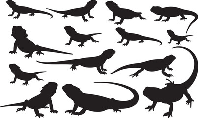 Bearded Dragon Solid Vector Silhouette
