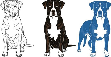Three stylized pit bull dogs in different artistic styles and colors