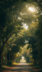 Morning stillness over a tropical road with leafy green trees