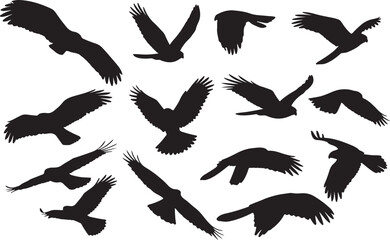 Cooper's Hawk Silhouettes Vector Pack