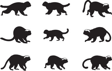 Cotton-top Tamarin Silhouettes Vector Pack