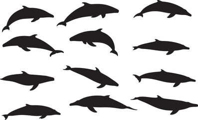 Cuvier's Beaked Whale Silhouettes Vector Pack