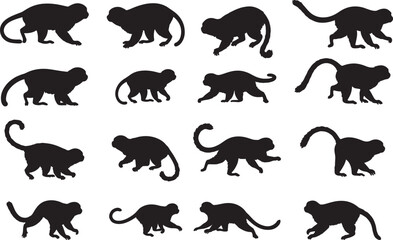 Dusky Dolphin Silhouettes Vector Pack