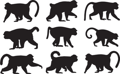 Goeldi's Monkey Silhouettes Vector Pack