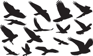 Kestrel Silhouettes Vector Pack
