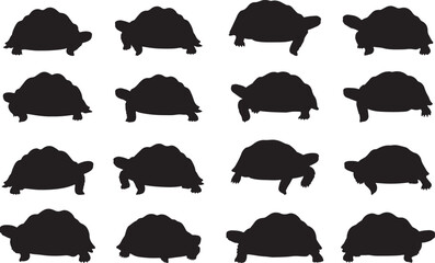 Leopard Tortoise Silhouettes Vector Pack