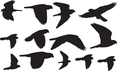 Merlin Silhouettes Vector Pack