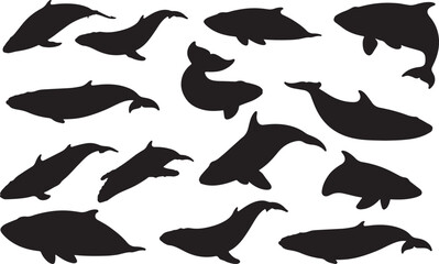 Minke Whale Silhouettes Vector Pack