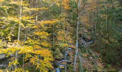 Kleiner Wasserfall in Herbstwald