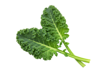 Isolated Fresh Green Kale Leaves Crossed