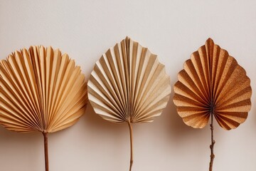 Simple Leaf Craft. Tan Fan Leaves Crafted from Paper on a Clean White Surface for Minimalist Interior Design
