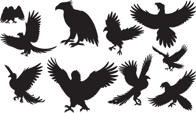 Simurgh Silhouettes Vector Pack