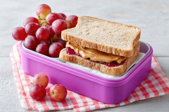 Peanut butter and jelly sandwich with grapes in lunchbox for back to school