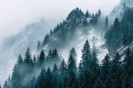 Inspiring Winter Quote Over a Snow-Covered Mystic Forest with Foggy Mountains in the Background - Powered by Adobe