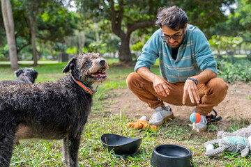 Man playing with mixed breed dogs in park, training and fun with pets