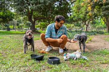Man feeding his two mixed breed dogs in park