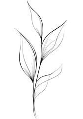 Fototapeta premium Simple line art of a delicate plant branch with leaves 