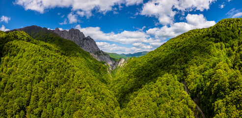 Sutjeska National Park in Bosnia and Herzegovina. Mountains and forest in summer. A valley in the mountains near the villages of Tjentište and Kruševo. Panorama from a drone