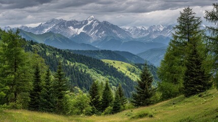 Fototapeta premium The majestic mountains rise above a lush green valley under dramatic skies.