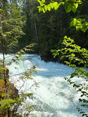 Rushing River with a Small Waterfall in the Wild


