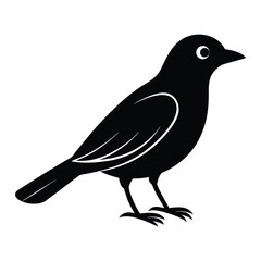 Obraz premium a single bird in side profile, standing upright with clear beak and feather details, simple vector design isolated on white background a single bird in side profile, standing upright with clear beak 