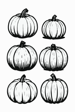 Pumpkin Vector Set &ndash; Hand Drawn Line Art