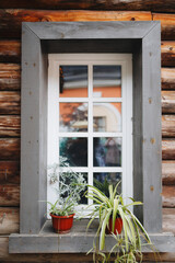 Rustic Window with Potted Plants