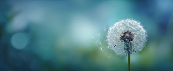 The delicate dandelion floating in a serene, dreamy garden backdrop.