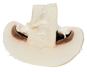 Half of raw white champignon on isolated background