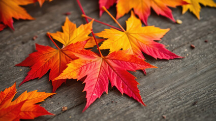 Vibrant Red and Orange Autumn Maple Leaves on Wood Background. Fall Season Imagery