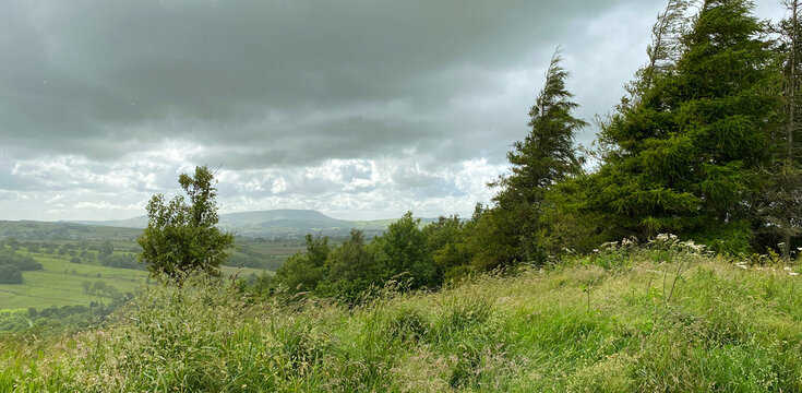 A rainswept landscape stretches toward Pendle Hill, beneath a brooding sky, softened at the edge by wild grasses in Wycoller, Lancashire, UK