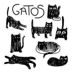 gatos