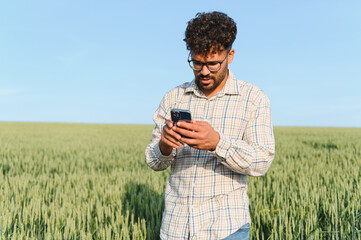 Farmer inspecting wheat field using mobile phone application