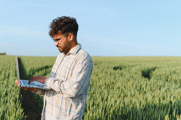 Agronomist using laptop in wheat field for smart farming