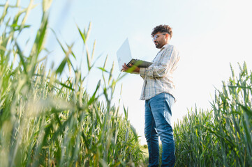 Farmer examining wheat crop with laptop in cultivated field