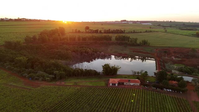 Vin&iacute;cola no Brasil vista por drone ao p&ocirc;r do sol, com lago ao lado, natureza exuberante,  vinhedo iluminados pela luz dourada. Beleza rural, clima tranquilo e paisagem cinematogr&aacute;fica