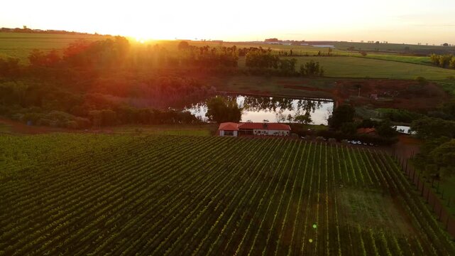 Vin&iacute;cola no Brasil vista por drone ao p&ocirc;r do sol, com lago ao lado, natureza exuberante,  vinhedo iluminados pela luz dourada. Beleza rural, clima tranquilo e paisagem cinematogr&aacute;fica