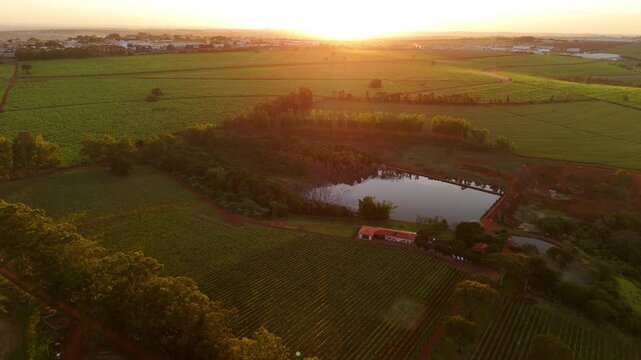 Vin&iacute;cola no Brasil vista por drone ao p&ocirc;r do sol, com lago ao lado, natureza exuberante,  vinhedo iluminados pela luz dourada. Beleza rural, clima tranquilo e paisagem cinematogr&aacute;fica